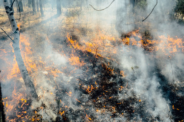 Similar image 7825609