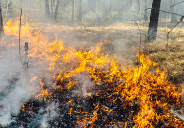 Similar image 7825610