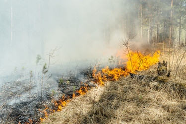 Similar image 7825611