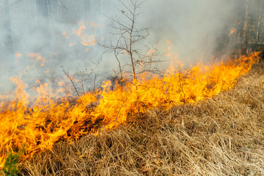 Similar image 7825612