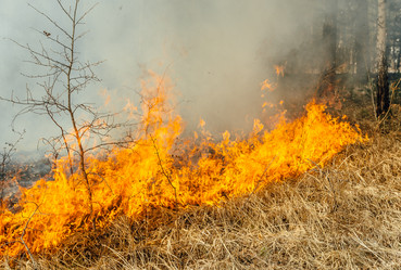 Similar image 7825613