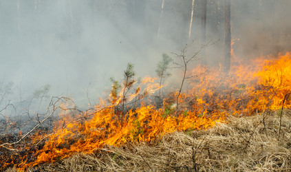 Similar image 7825615