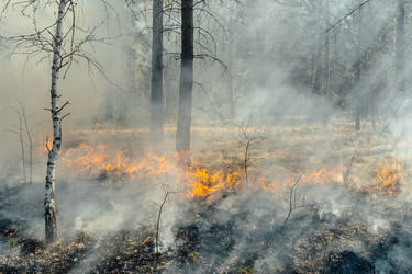 Similar image 7825616