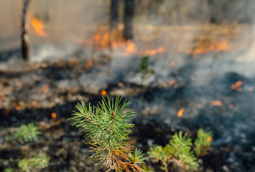 Similar image 7825617