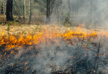 Similar image 7825618