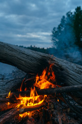 Similar image 7825679