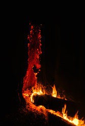 Similar image 7825713