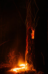 Similar image 7825714