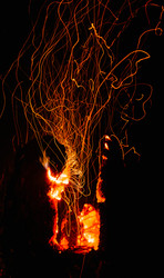 Similar image 7825716