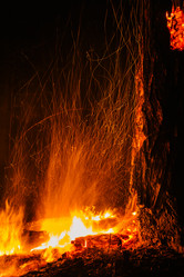 Similar image 7825717