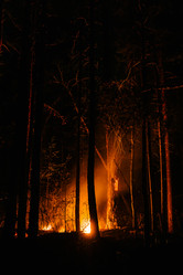 Similar image 7825719