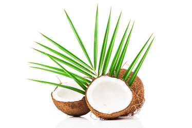 Similar image 7826386