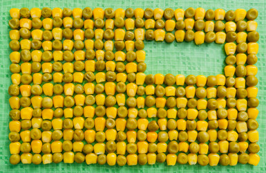 Similar image 7826419