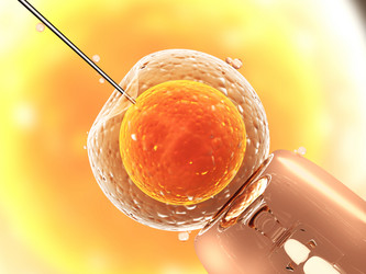 Similar image 7826457