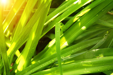 Similar image 7826463