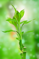 Similar image 7826541