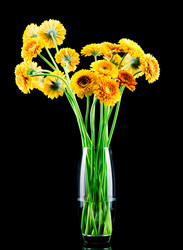 Similar image 7826542