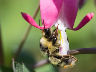 Similar image 7826557