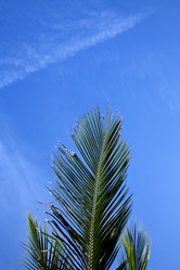 Similar image 7826570