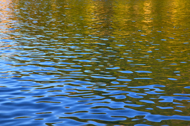 Similar image 7826696