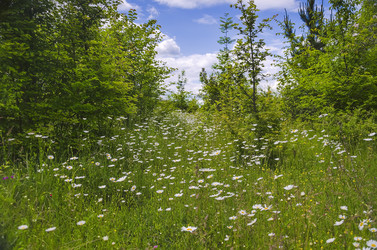 Similar image 7826779