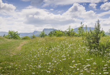 Similar image 7826780