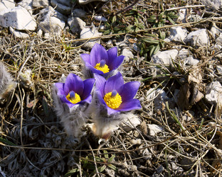 Similar image 7826806