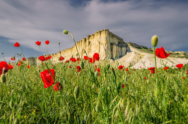 Similar image 7826809