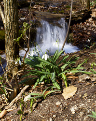 Similar image 7826812