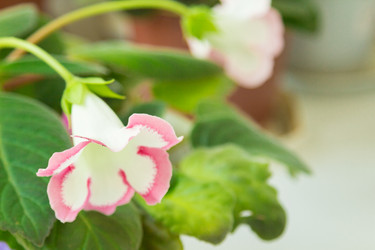 Similar image 7827004