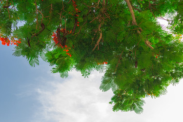 Similar image 7827006