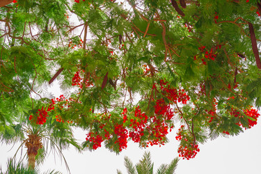 Similar image 7827007