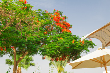 Similar image 7827009