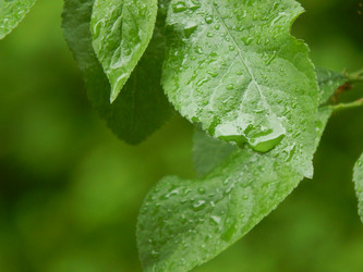 Similar image 7827011