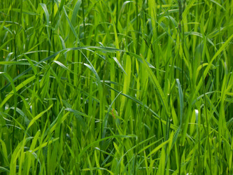 Similar image 7827012