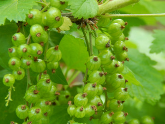 Similar image 7827014