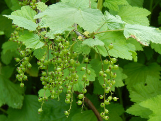 Similar image 7827015