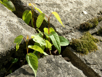 Similar image 7827016