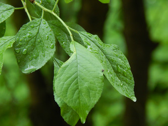 Similar image 7827017