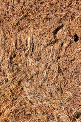 Similar image 7827135