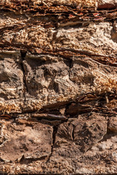 Similar image 7827136