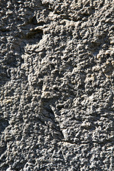 Similar image 7827202