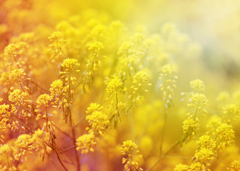 Similar image 7827417