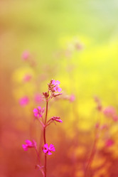 Similar image 7827421