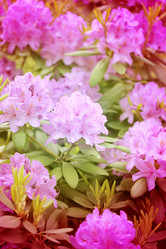 Similar image 7827424