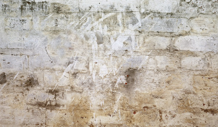 Similar image 7827434