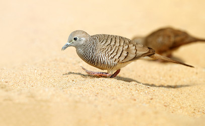 Similar image 7827448