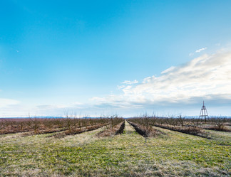 Similar image 7827698