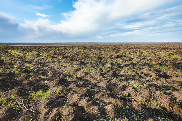 Similar image 7827712