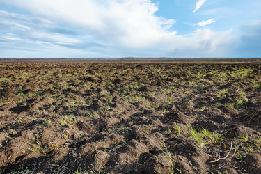 Similar image 7827714